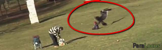 Aguila atrapa a bebe en un parque paralocos